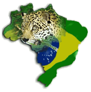 Interação Brasil